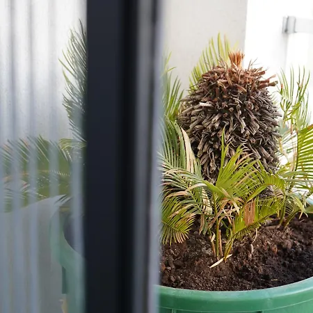 Fuglamare - 3 Lejlighed *