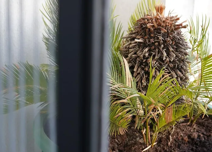 Fuglamare - 3 Lejlighed *